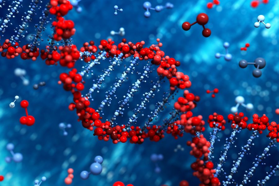 BIOLOGI SEL & MOLEKULER